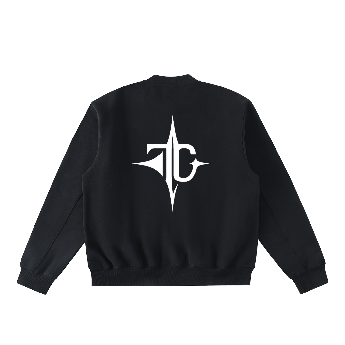 Essential Zip-Up Fleeced Varsity Jacket